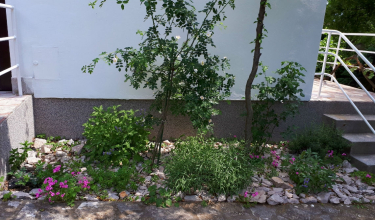 Okućnica - Apartmani Vladimira*** Dramalj
